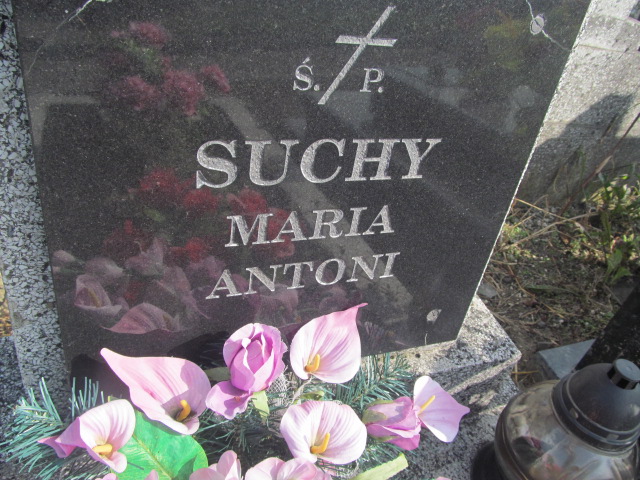 Maria Suchy 1875 Grodziec - Grobonet - Wyszukiwarka osób pochowanych