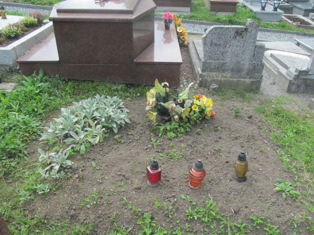 Franciszek Badura 1877 Grodziec - Grobonet - Wyszukiwarka osób pochowanych